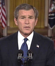 bush.jpg